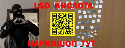 PSILOCYBIN Тулун