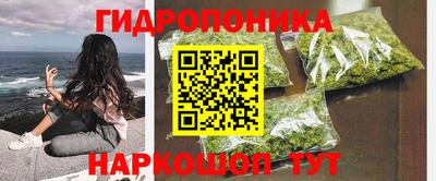 PSILOCYBIN Тулун