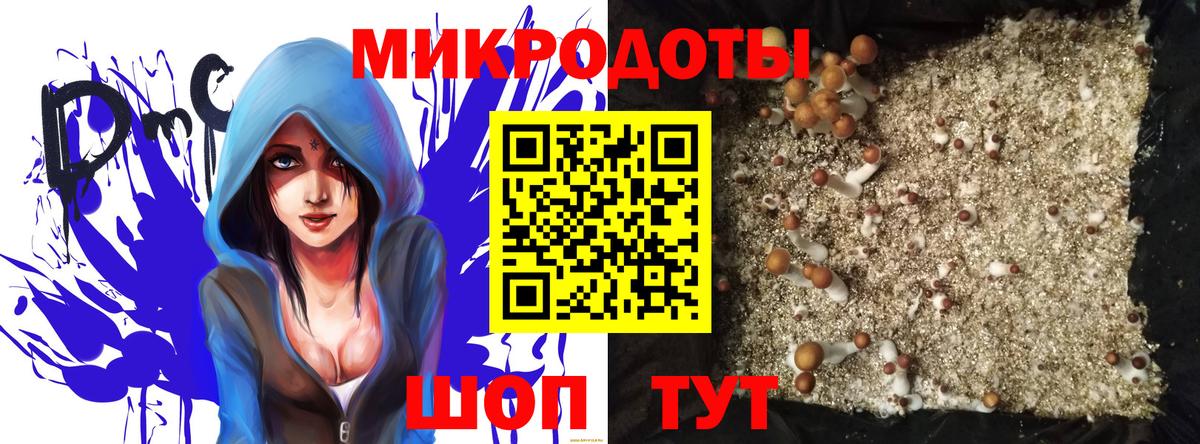 Псилоцибиновые грибы MAGIC MUSHROOMS  хочу наркоту  Псилоцибиновые грибы ЛСД  Нурлат  Вход с VPN 