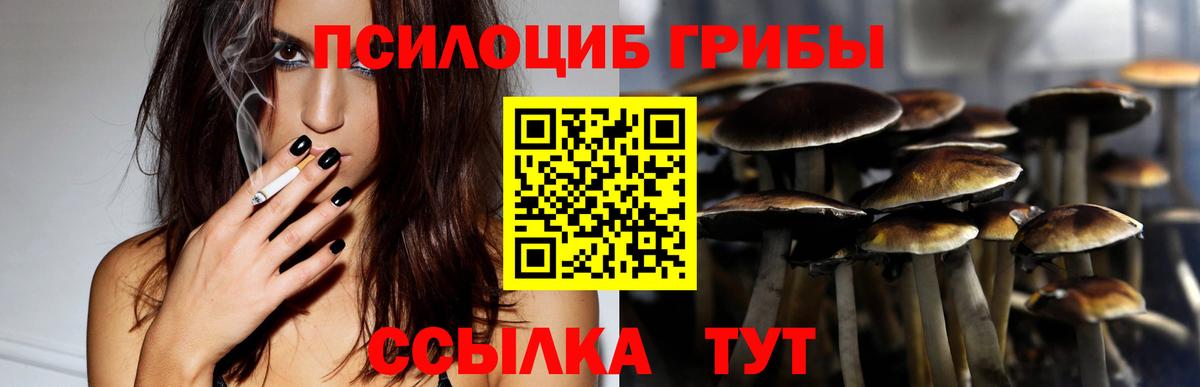 Псилоцибиновые грибы ЛСД Нурлат